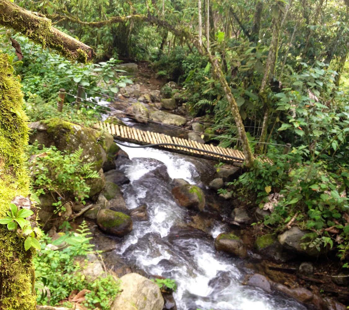Hot Springs, Santa Rosa de Cabal