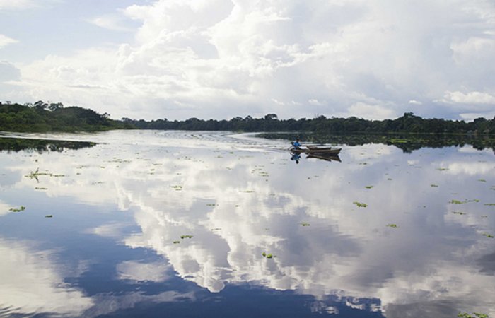 Taraporo Lake, Amazonas